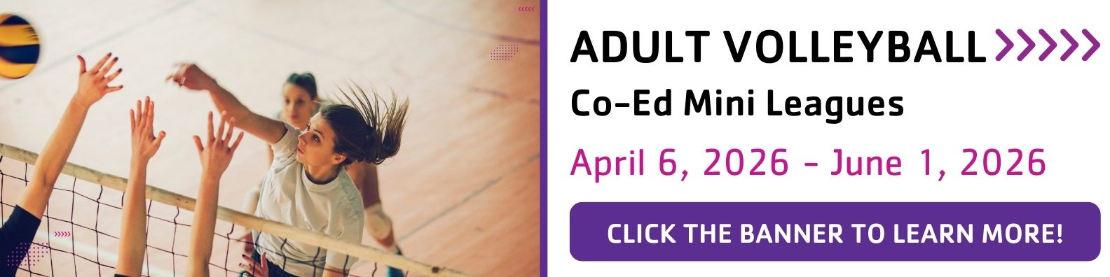 Adult Mini Volleyball